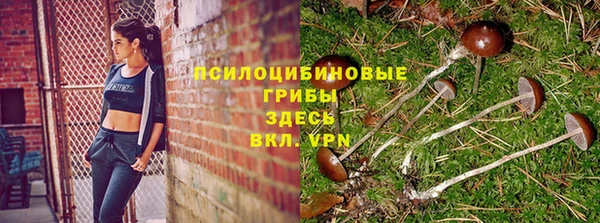 бутик Аркадак