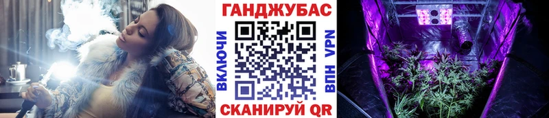 MEGA как зайти  Лермонтов  Канабис тримм 